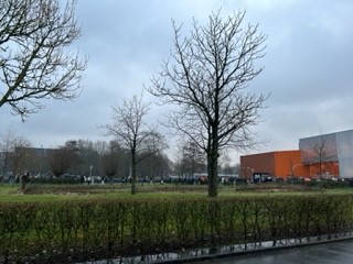 Groningen 1 2023
